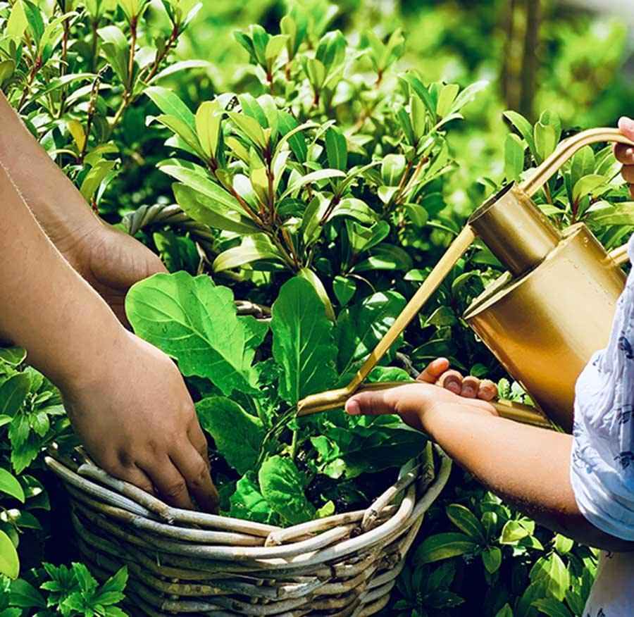 Nature & Nurture – The source of life